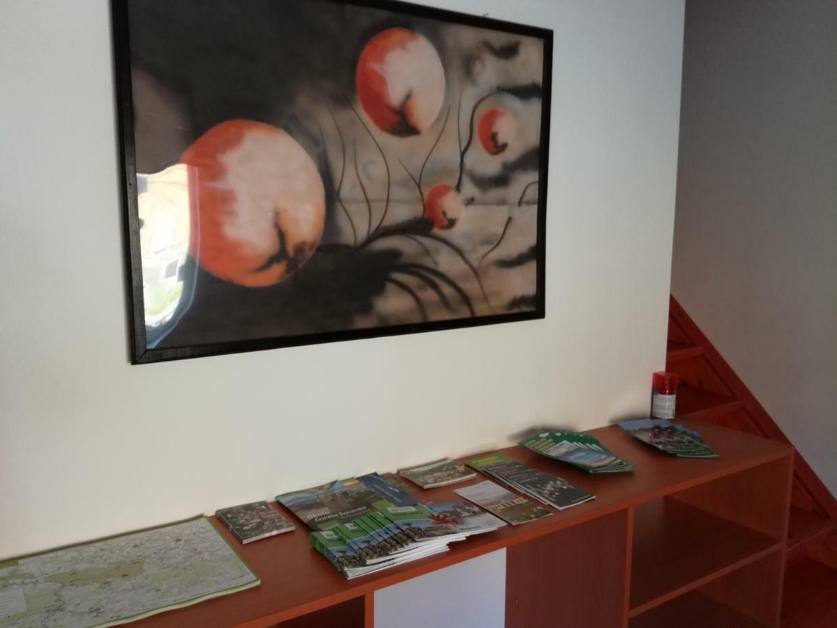 Apartman Prefa Benesov nad Ploucnici Buitenkant foto